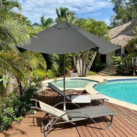 Chalet Tropical Au Coeur De Las Terrenas Zewnętrze zdjęcie