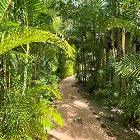 Chalet Tropical Au Coeur De Las Terrenas Zewnętrze zdjęcie