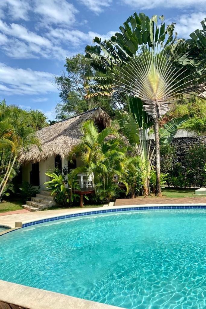 Chalet Tropical Au Coeur De Las Terrenas Zewnętrze zdjęcie