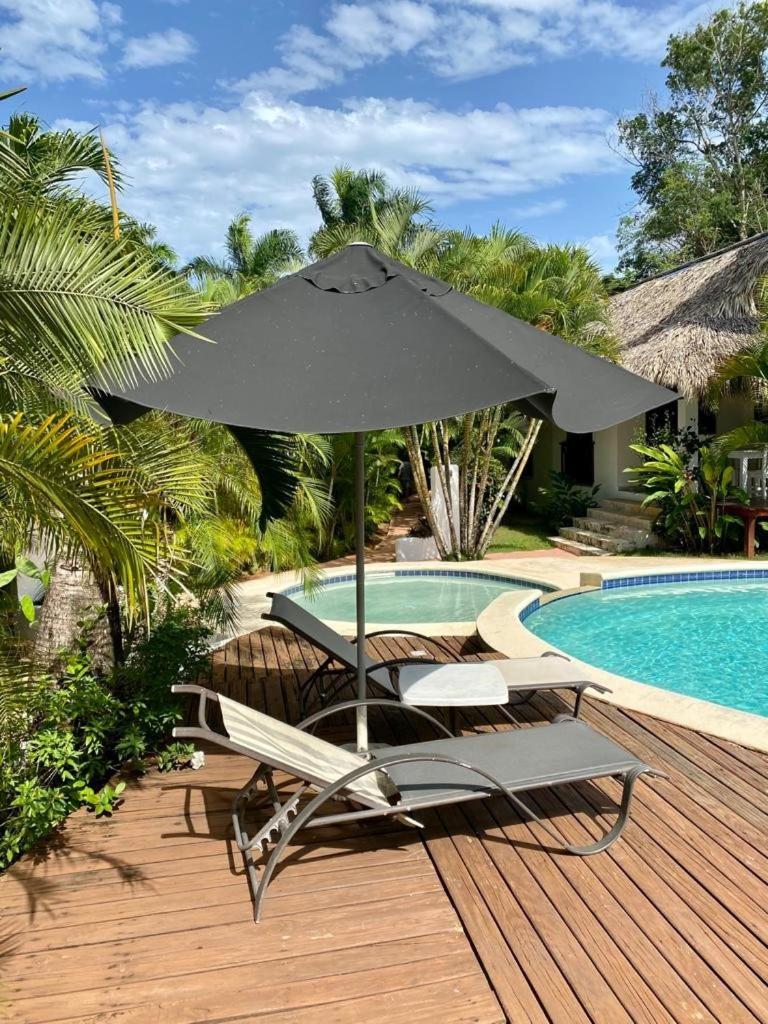 Chalet Tropical Au Coeur De Las Terrenas Zewnętrze zdjęcie